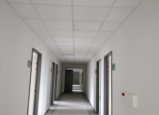 faux plafond dalle
